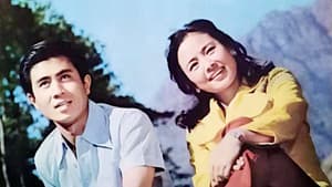 庐山恋 — foto 1