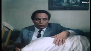 الأفوكاتو — foto 10
