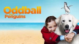 Oddball y sus pingüinos — foto 12