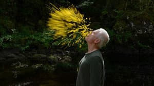 Leaning Into the Wind: Andy Goldsworthy — foto 2