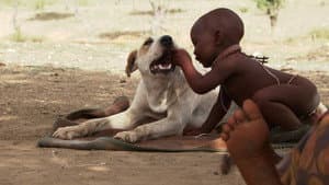 Bébés — foto 5