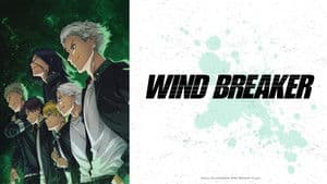 WIND BREAKER — foto 2