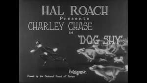 Wonder Dogs! Canine Stars of the Silent Era (1898-1928) — foto 2