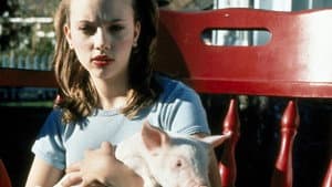 My Brother the Pig — foto 1