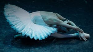 Le Lac des cygnes - Filmé pour IMAX — foto 1