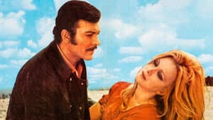 Beyaz Güller — foto 1