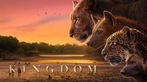Kingdom — foto 2