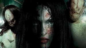 Animus — foto 1