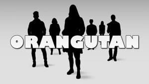 Orangutan — foto 1