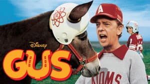 Gus — foto 1