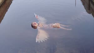 Die Seemeeu — foto 1