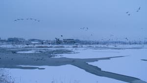 위대한 계약: 파주, 책, 도시 — foto 3
