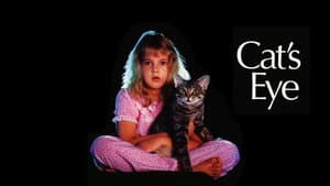 El ojo del gato — foto 6