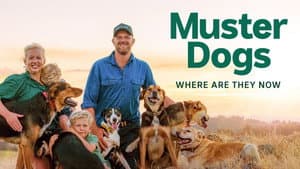 Muster Dogs: Where Are They Now — foto 3