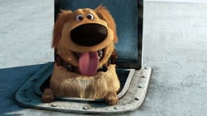 La misión especial de Dug — foto 1