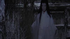 The Snow Woman — foto 4