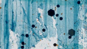 Bleue — foto 1