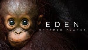 Eden: Untamed Planet — foto 3