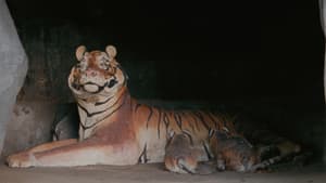 กระบี่, 2562 — foto 3