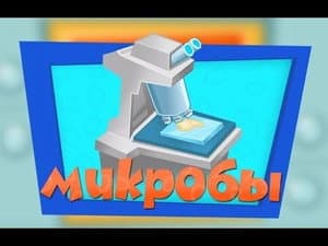 Episodio 12