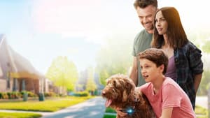 Una Mente Canina — foto 1