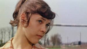 Безбилетная пассажирка — foto 1