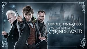 Animales Fantásticos 2: Los Crímenes de Grindelwald — foto 10