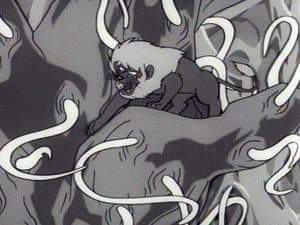 Episodio 11