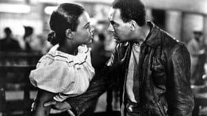 Native Son — foto 1