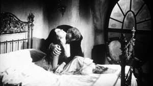 Nachts, wenn Dracula erwacht — foto 5