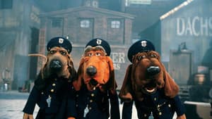 Dog City — foto 1