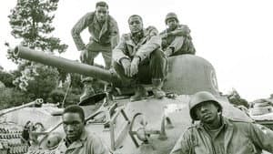 Black Panthers of WWII — foto 2