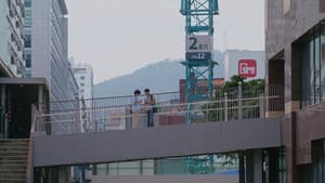 첫 문장을 쓰기 전 — foto 1