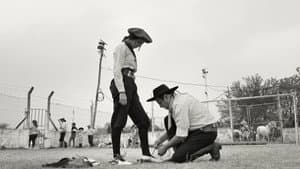 Gaucho Gaucho — foto 1