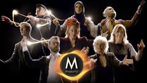 Maestro — foto 1