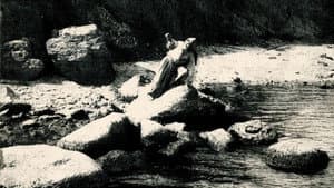 Микола Джеря — foto 1
