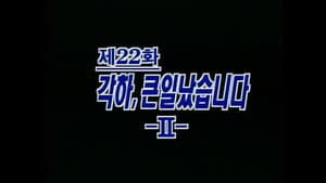 Episodio 22