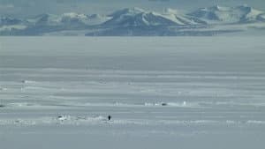 Encounters at the End of the World — foto 2