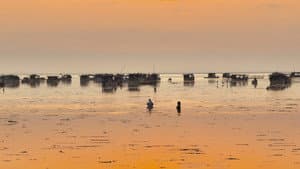 Moklani: The Last Mohanas — foto 10