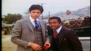 Tenspeed and Brown Shoe — foto 2