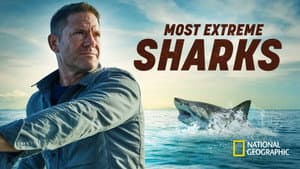 Most Extreme Sharks — foto 3
