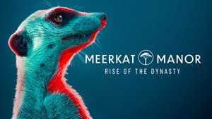 Meerkat Manor: Rise of the Dynasty — foto 4