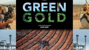 L'or Vert — foto 1