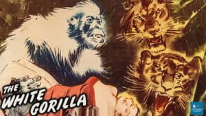 The White Gorilla — foto 3