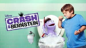 Crash & Bernstein — foto 3
