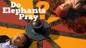 Do Elephants Pray? — foto 2