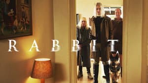 Rabbit — foto 5