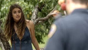 The Orchard — foto 4