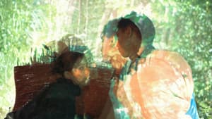 Tibok — foto 1