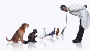 Dr. Dolittle — foto 7